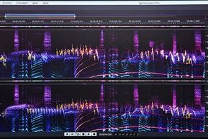 Steinberg Spectralayers Pro 7 - обновление спектрального редактора