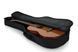 GATOR GBE-MINI-ACOU Economy Mini Acoustic Guitar Gigbag