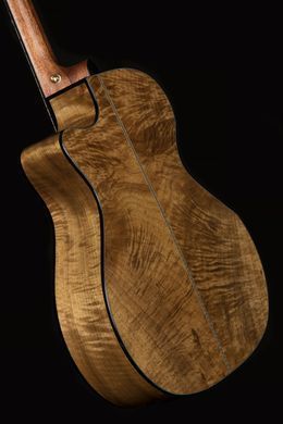CORT GOLD-Edge