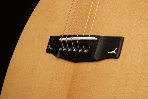 CORT GOLD-Edge