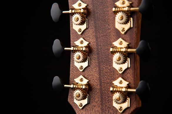 CORT GOLD-Edge