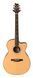 PRS SE A60E