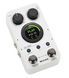 Mooer GL100