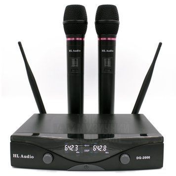 HL Audio DG-2000