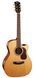 CORT GOLD-A6 (Natural)