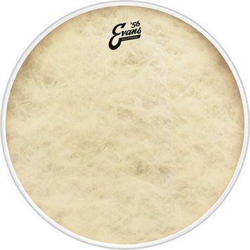 EVANS BD22CT 22" CALFTONE