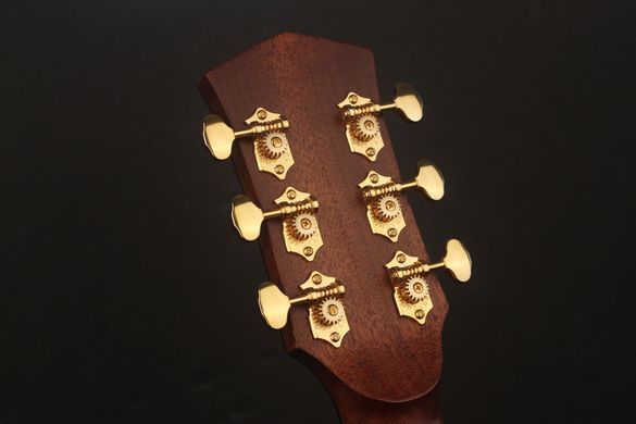 CORT GOLD-A6 (Natural)