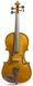 STENTOR 1400/A STUDENT I VIOLIN OUTFIT 4/4