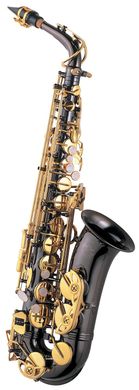 J.MICHAEL AL-800BL Alto Saxophone