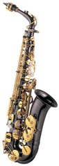 J.MICHAEL AL-800BL Alto Saxophone
