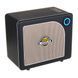 MOOER Hornet 15i (Black)