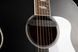 CORT CJ Retro (Vintage Black Matte)