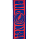 D'ADDARIO 50GD00 GRATEFUL DEAD GUITAR STRAP - Steal Your Face, Red/Blue
