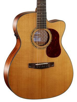CORT GOLD-OC6 (Natural)