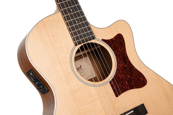 CORT GA1E (Open Pore)