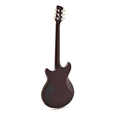 YAMAHA REVSTAR PROFESSIONAL RSP20X (Rusty Brass Charcoal)