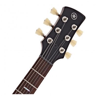 YAMAHA REVSTAR PROFESSIONAL RSP20X (Rusty Brass Charcoal)