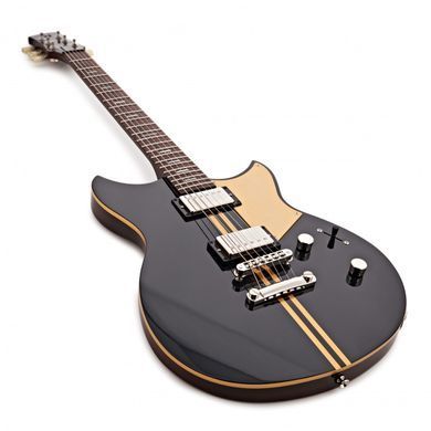YAMAHA REVSTAR PROFESSIONAL RSP20X (Rusty Brass Charcoal)