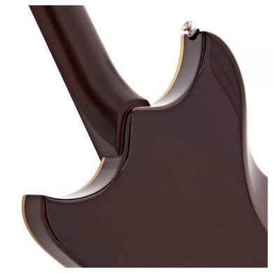 YAMAHA REVSTAR PROFESSIONAL RSP20X (Rusty Brass Charcoal)