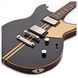YAMAHA REVSTAR PROFESSIONAL RSP20X (Rusty Brass Charcoal)