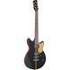 YAMAHA REVSTAR PROFESSIONAL RSP20X (Rusty Brass Charcoal)