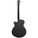 TANGLEWOOD TWBB SF CE