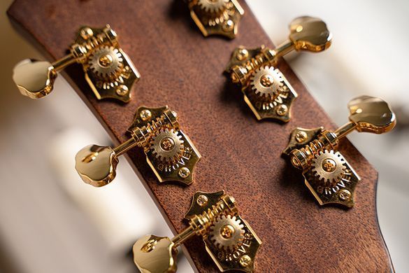 CORT GOLD-DC6 (Natural)