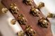CORT GOLD-DC6 (Natural)