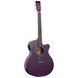 TANGLEWOOD TA4 CE PU