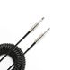D`ADDARIO PW-CDG-30BK Coiled Instrument Cable - Black