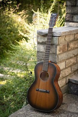 CORT Core-DC Mahogany (Open Pore Black Burst)