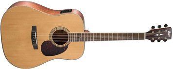CORT EARTH 100F (NS)