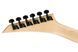 Електрогітара JACKSON JS SERIES DINKY JS20 DKQ 2PT TRANSPARENT GREEN BURST