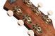 CORT Core-PE Mahogany (Open Pore Black Burst)
