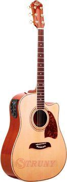 Washburn OG2CE
