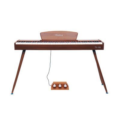 Toneberg TS-100 WD
