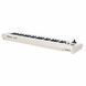 ROLAND A-49 WH