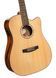 Cort EARTH 60CE (Natural Gloss)