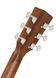 Cort EARTH 60CE (Natural Gloss)
