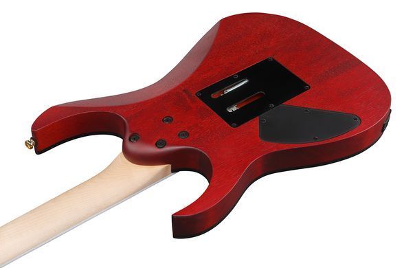 Електрогітара IBANEZ RGR420FMSP-TGF