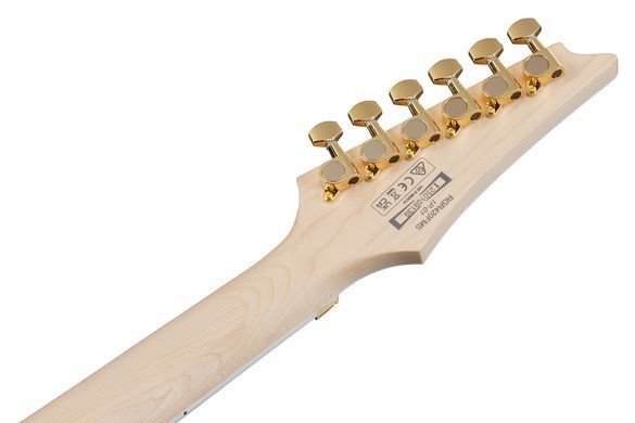 Електрогітара IBANEZ RGR420FMSP-TGF