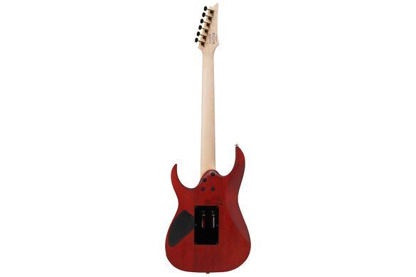 Електрогітара IBANEZ RGR420FMSP-TGF