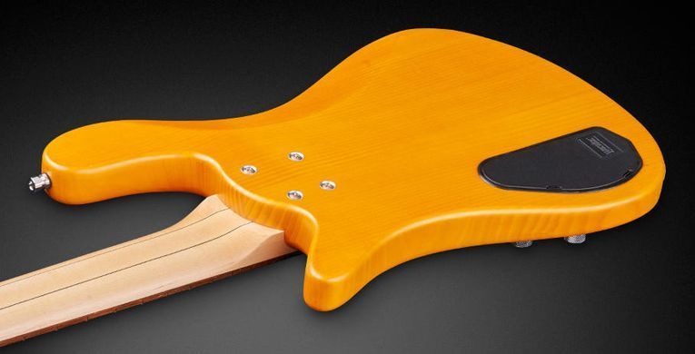 WARWICK ROCKBASS STREAMER STANDARD, 5-STRING (HONEY VIOLIN TRANSPARENT SATIN)