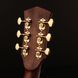 CORT GOLD A8 (Light Burst)