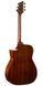 CORT LUXE II (Natural Glossy)