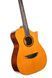 CORT LUXE II (Natural Glossy)