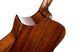 CORT LUXE II (Natural Glossy)